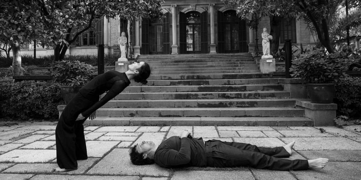 Zitzània, una de les propostes del Festival Dansa Metopolitana. Ajuntament