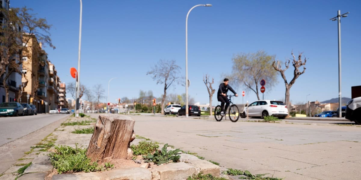 Foto portada: la Ronda Collsalarca, el dia 1 d'abril de 2025. Autor: D.J.