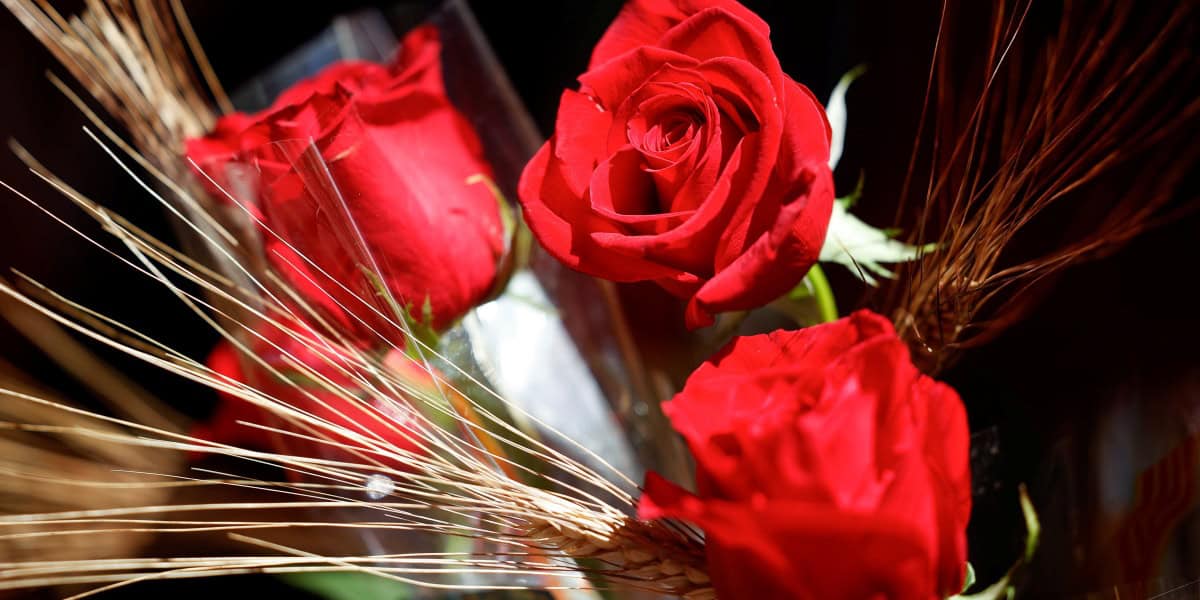 Imatges de la diada de Sant Jordi 2025 a Sabadell. Autor: D.Jiménez.