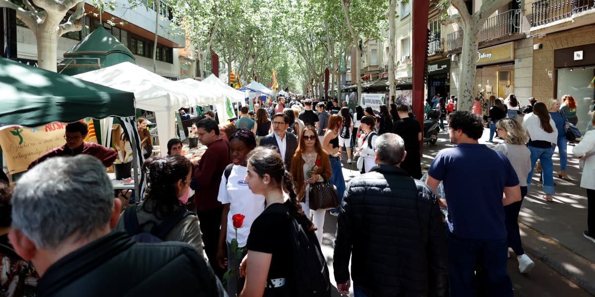 Imatges de la diada de Sant Jordi 2025 a Sabadell. Autor: D.Jiménez.