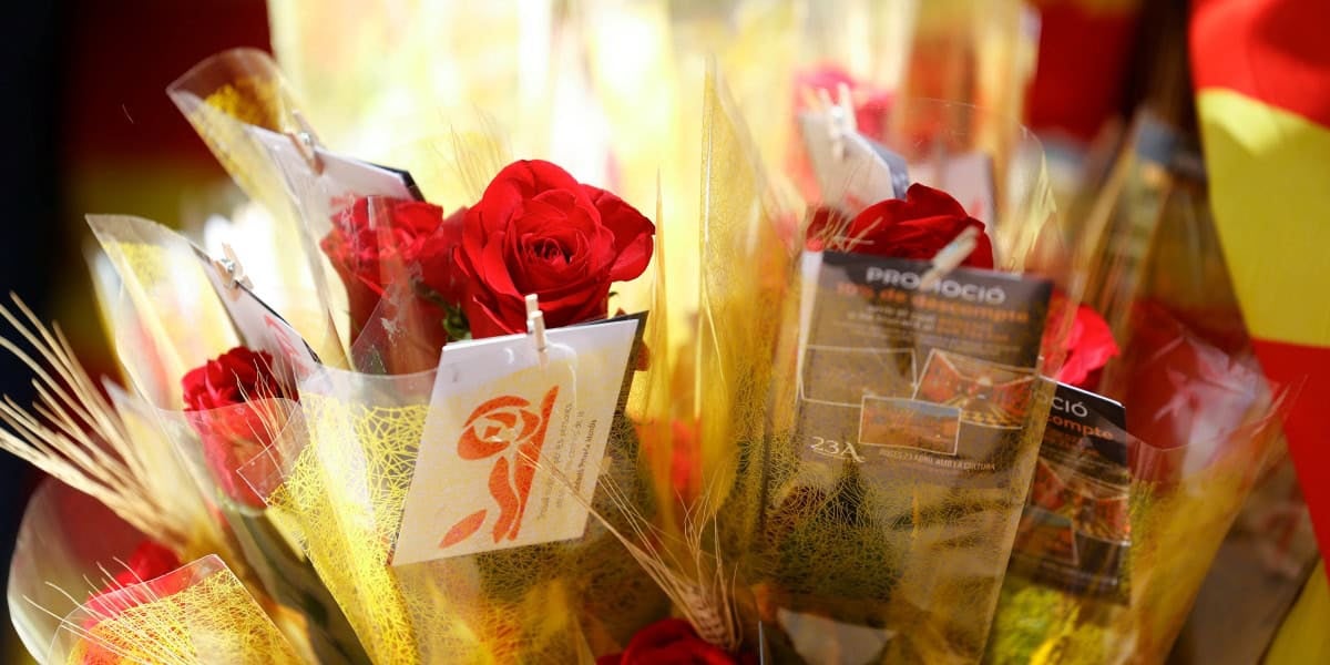 Imatges de la diada de Sant Jordi 2025 a Sabadell. Autor: D.Jiménez.