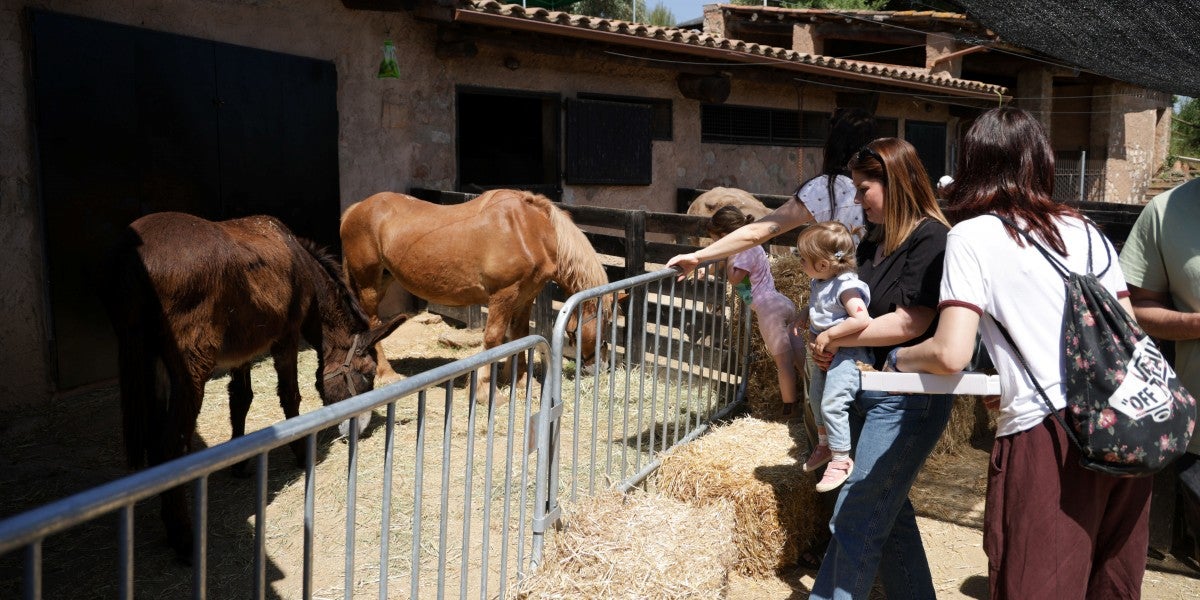 Festa de la Primavera 2025. Autor: David Jiménez.