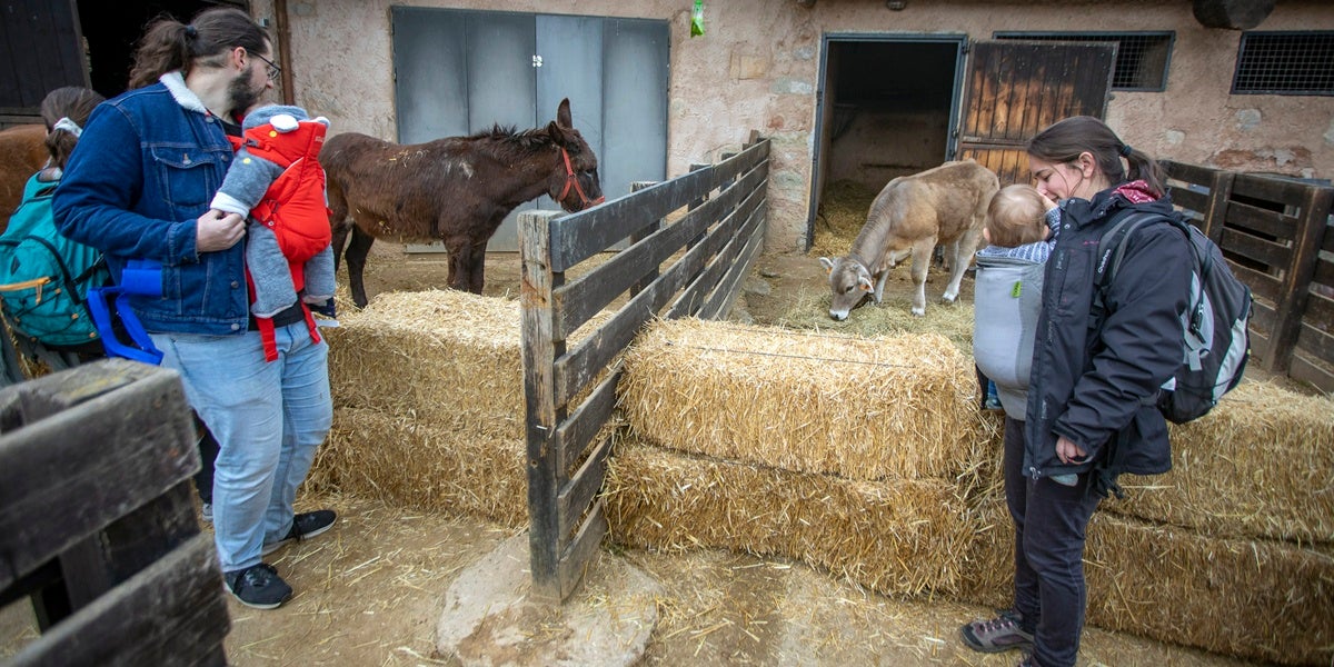 Foto portada: una imatge de la Festa BBVA de la Primavera. Autor: cedida.