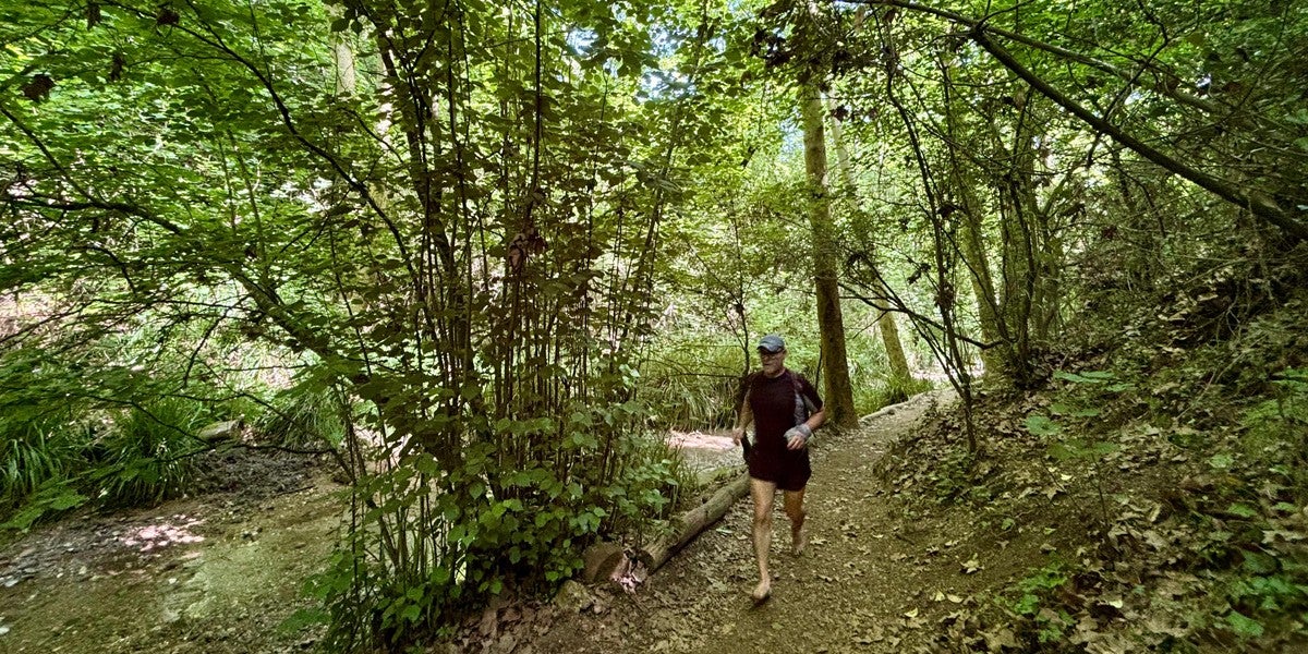 Risc d'incendi. Un corredor, al Torrent de Colobrers, el dia 1 de juny de 2025. Autor: J.d.A.