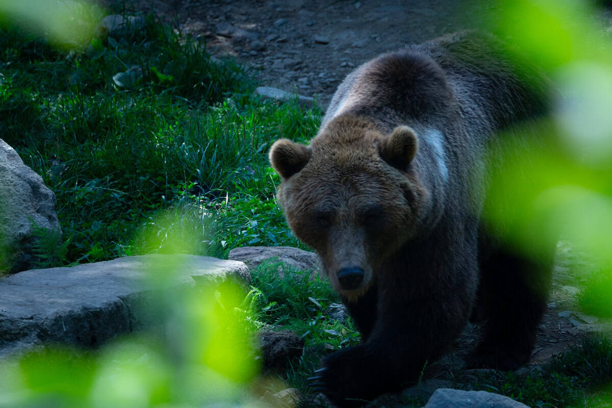 L'accés al concurs #EstiuSabadell25. Autor: Miguel Ángel Dengra. 