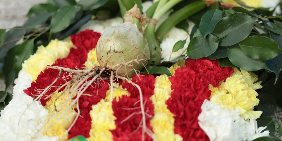 Imatges de l'acte institucional de la Diada 2025 a Sabadell. Fotos: D.Jiménez.