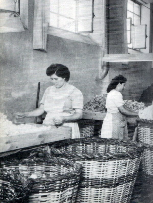 Treballadores classificant llanes a SA Marcet als anys 50. Duran/AHS.