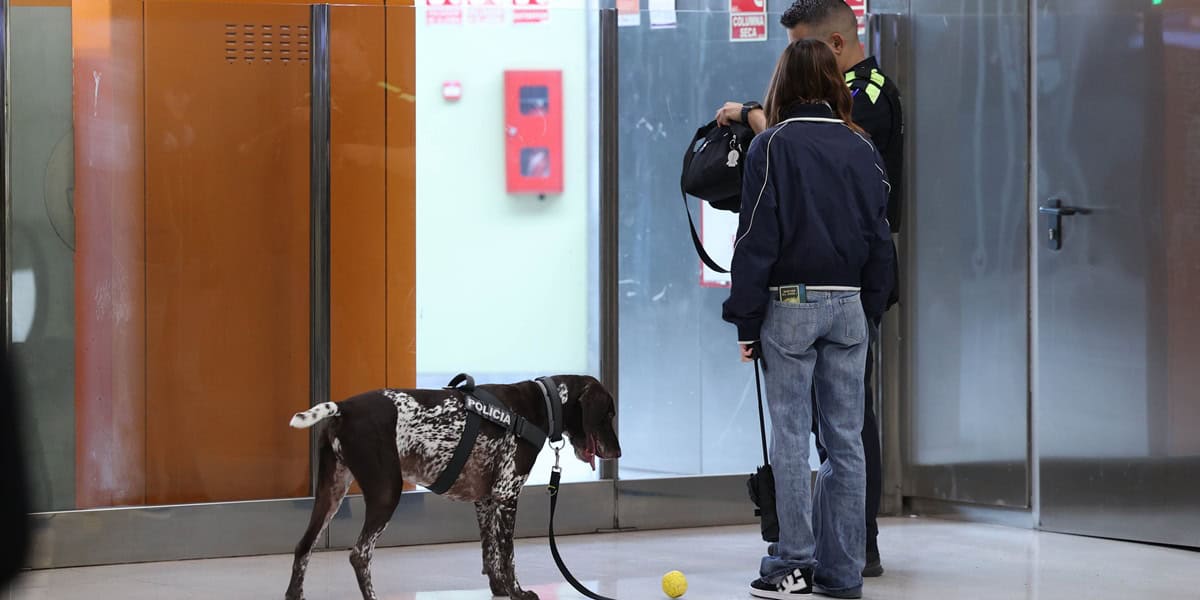 Identificacions a l'estació Sabadell Nord. Autor: D.Jiménez.