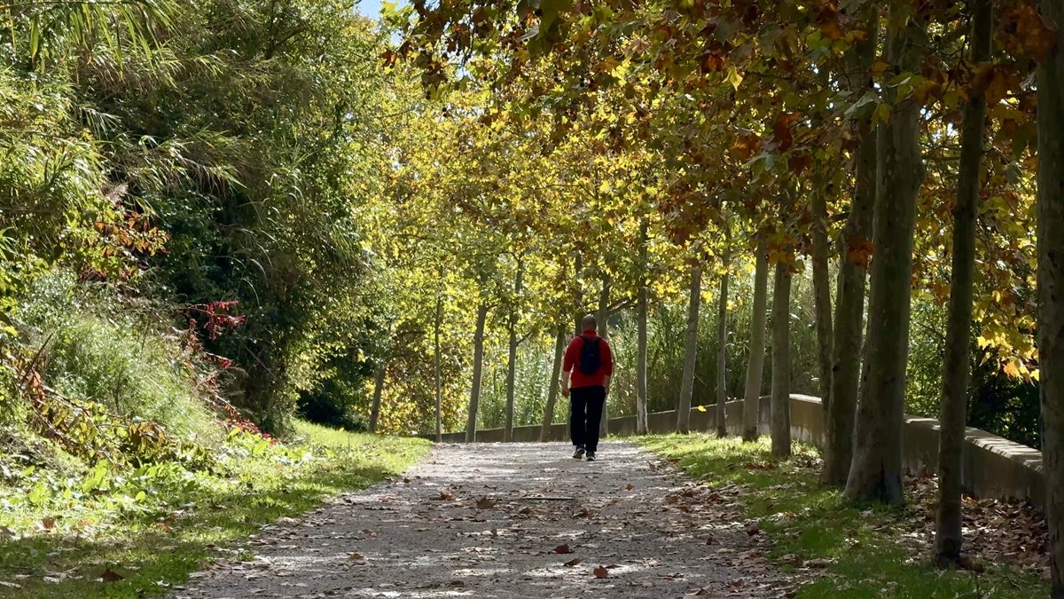 Un vianant passejant pel riu Ripoll. Autor: ACN. 