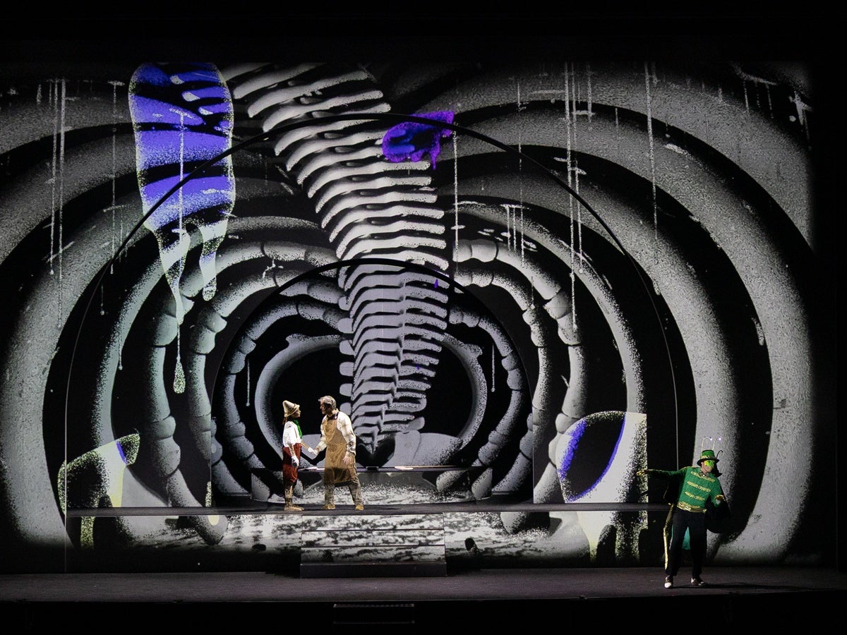 Funció de 'Pinocchio', el 9 de novembre de 2025 al migdia. Autora: Dihör.