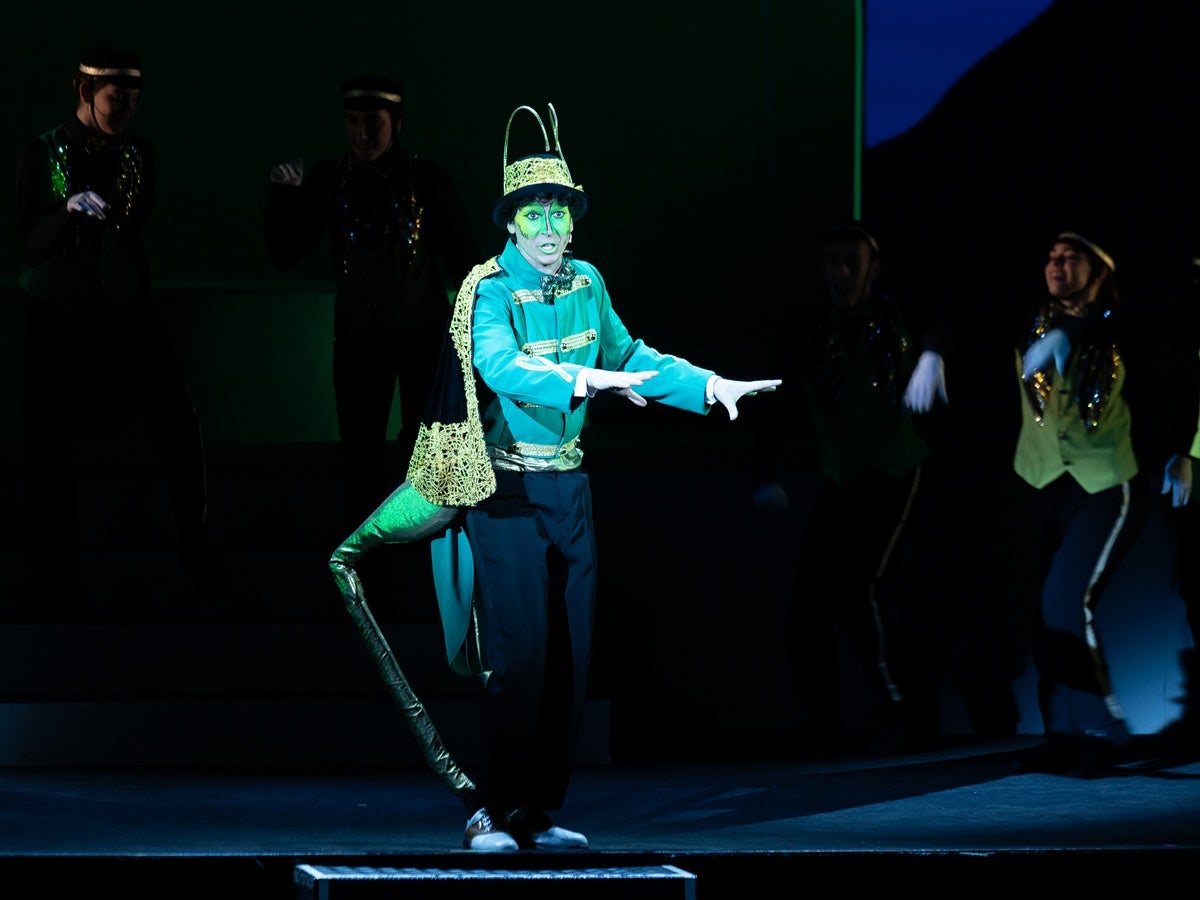 Funció de 'Pinocchio', el 9 de novembre de 2025 al migdia. Autora: Dihör.