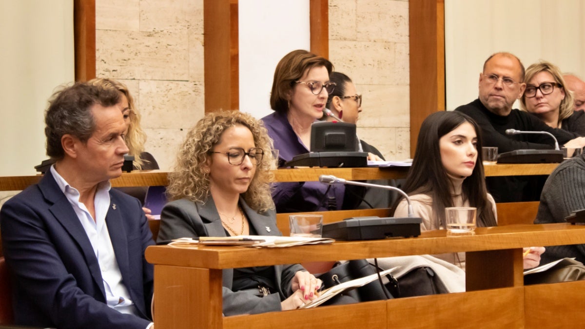 La regidora d'Igualtat i LGBTI, Rosa Pareja, al ple. Autor: Xavi Cano. 