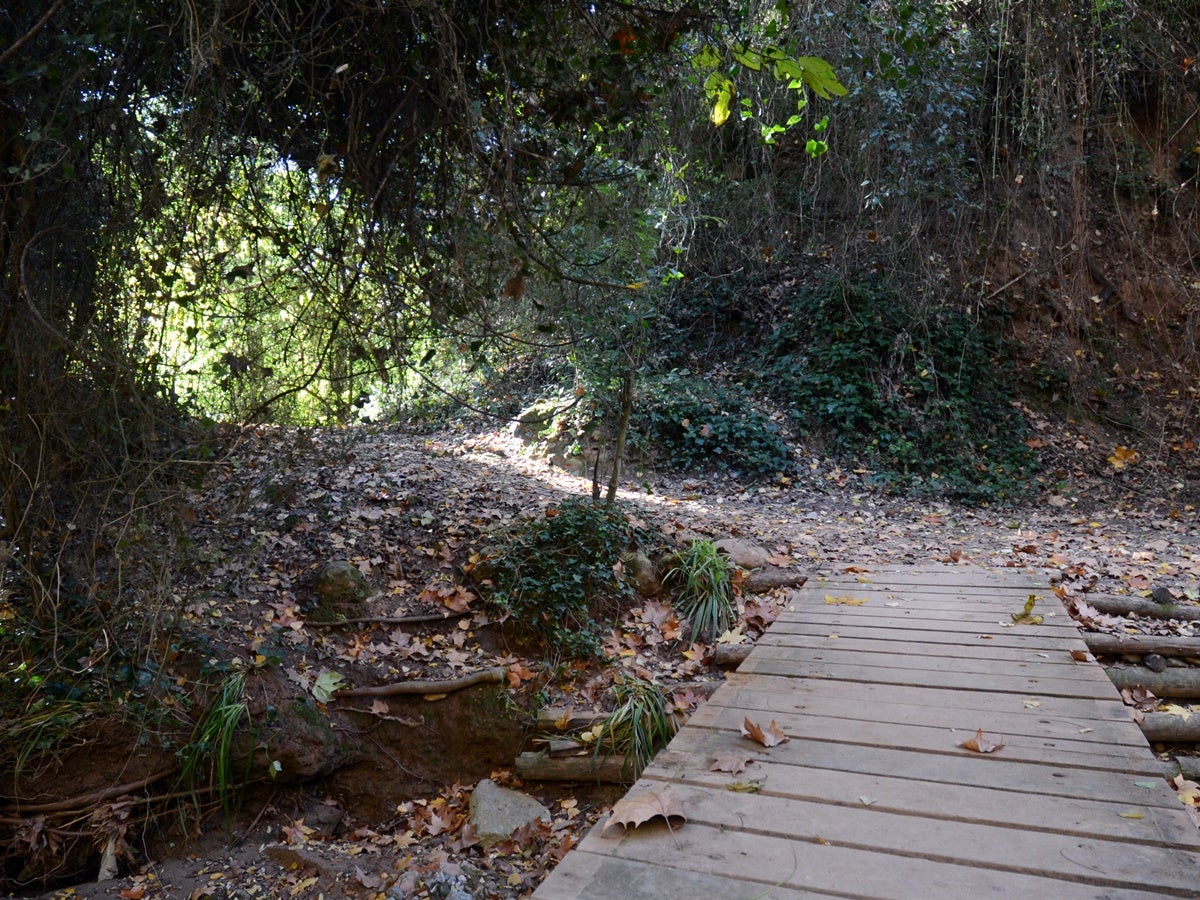 Un tram del Torrent de Colobres, fa uns dies. Autor: J.d.A. 