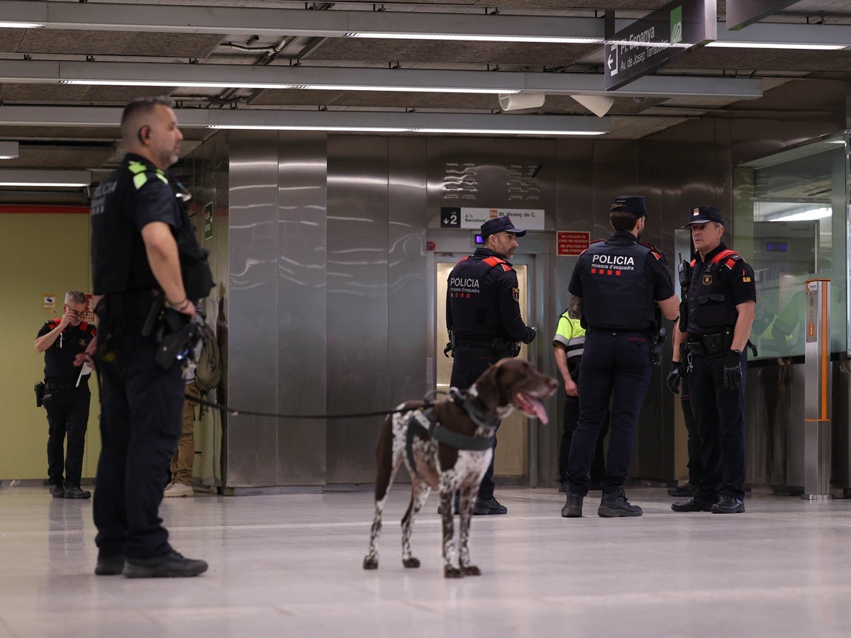 Dispositiu del pla Kanpai, contra la multireincidència. Autor: D.Jiménez. 