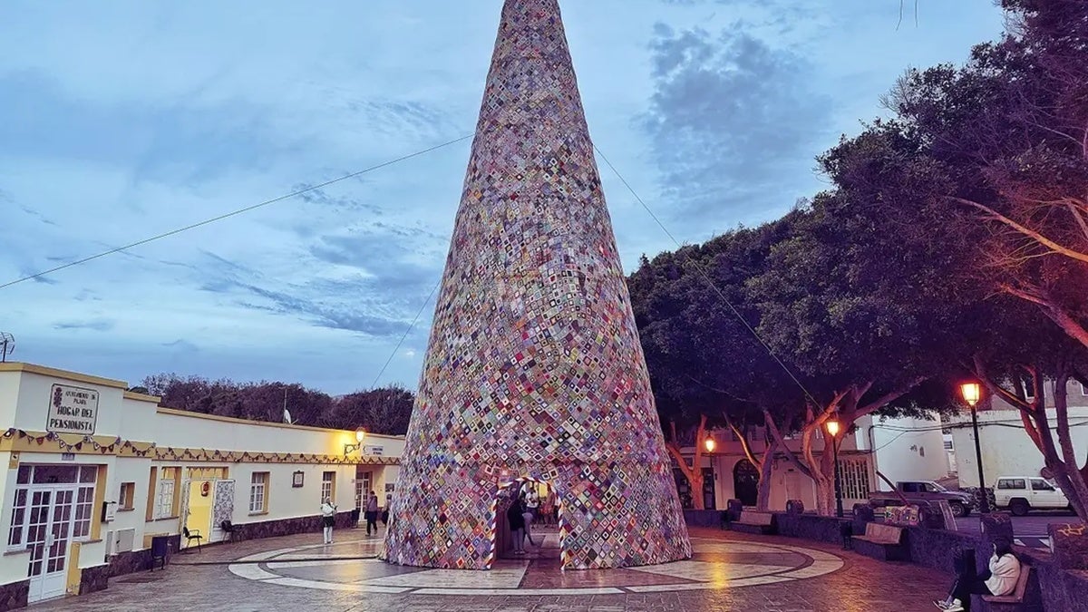 L'arbre de Pájara. Font: Fuerventura Digital.