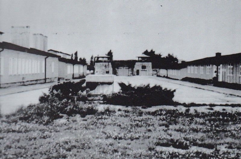 El camp d'extermini de Mauthausen.