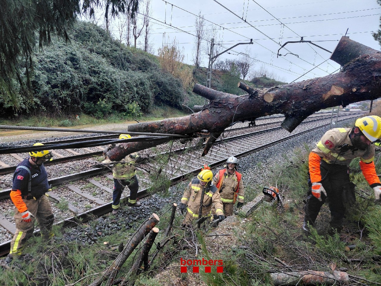 Caiguda d'un arbre a la línia R4 de Rodalies. Autor: @bomberscat.