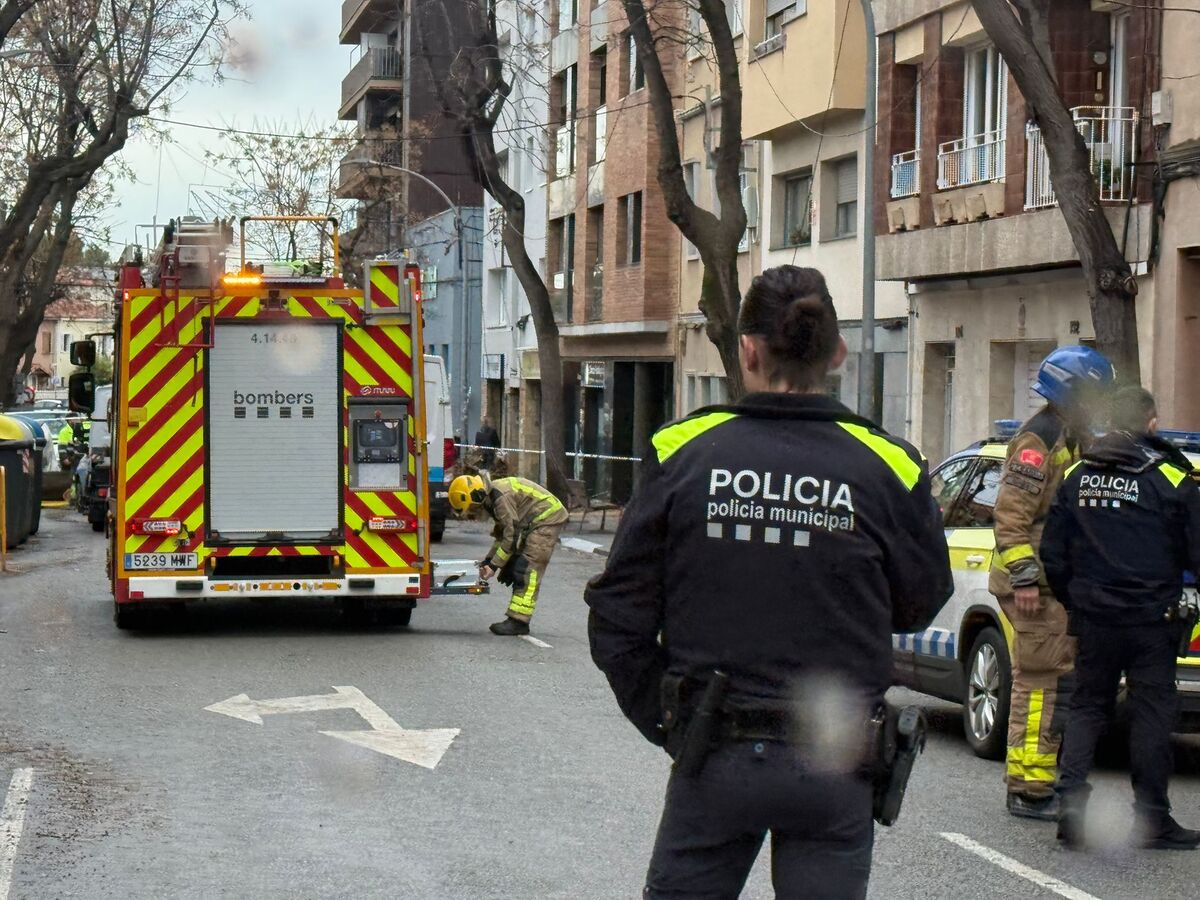 Arbre caigut al carrer Brutau. Autor: cedida.