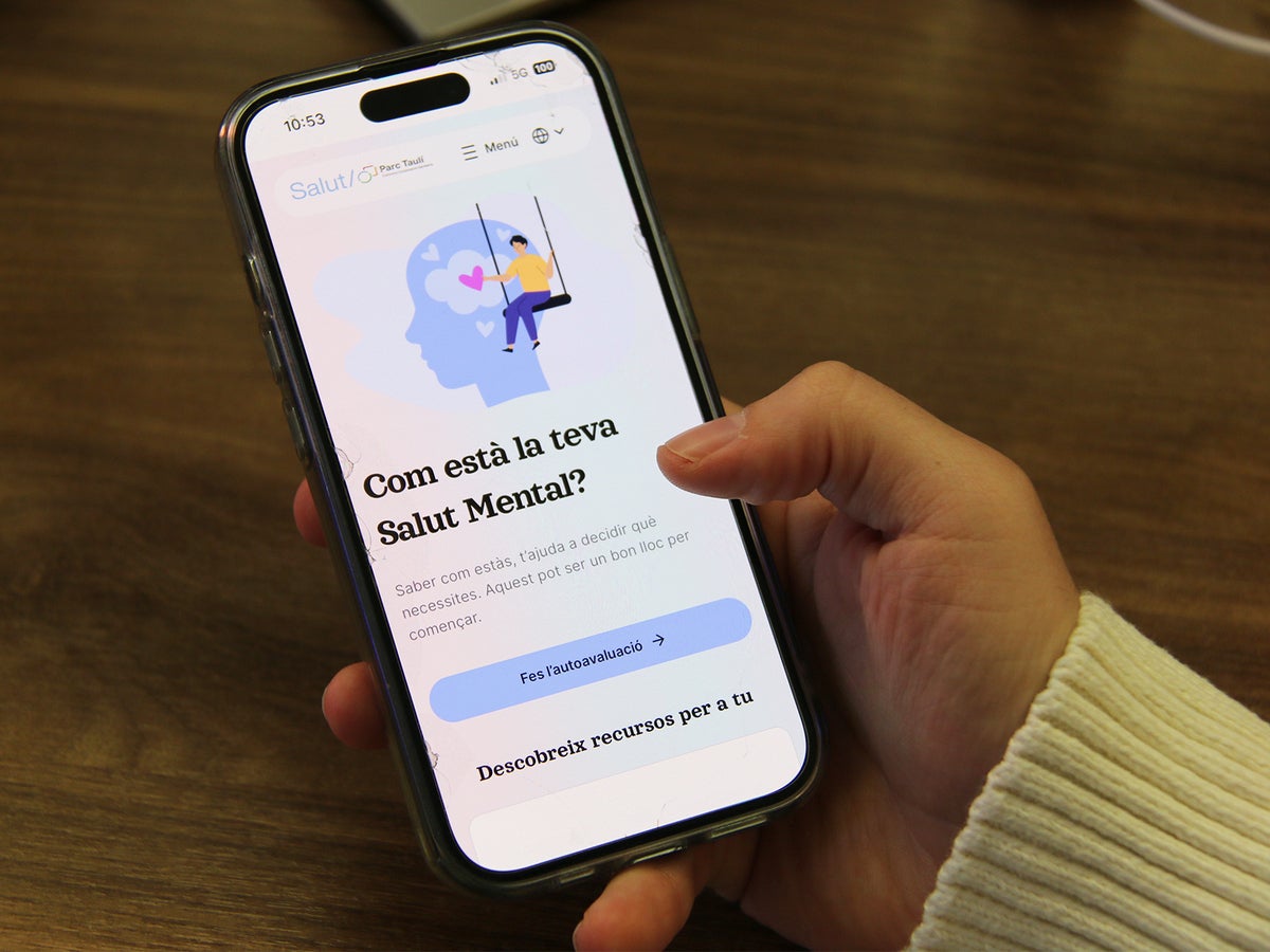 Aplicació 'La Meva Salut Mental'. Autor: cedida.