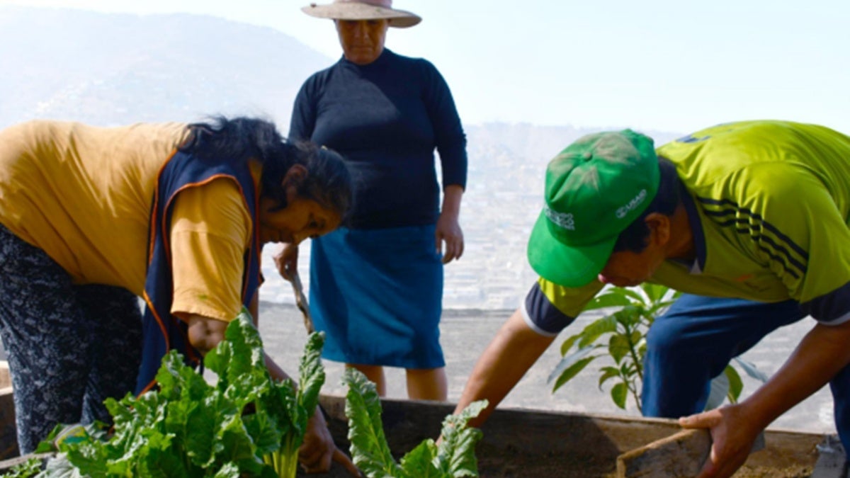 Persones sembrant. Cedida