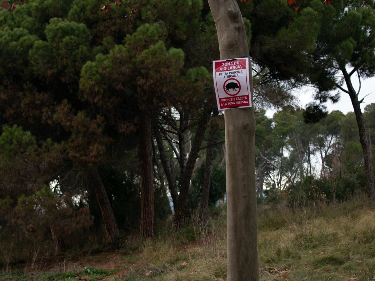 Indicacions per la pesta porcina africana per accedir al bosc de Can Deu. Autor: X.Cano. 