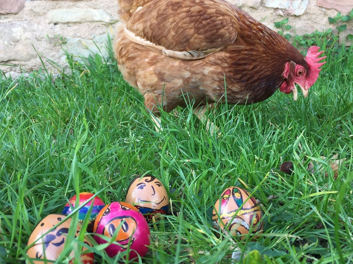 Una imatge promocional dels tallers d'ous de Pasqua. Font: FACS