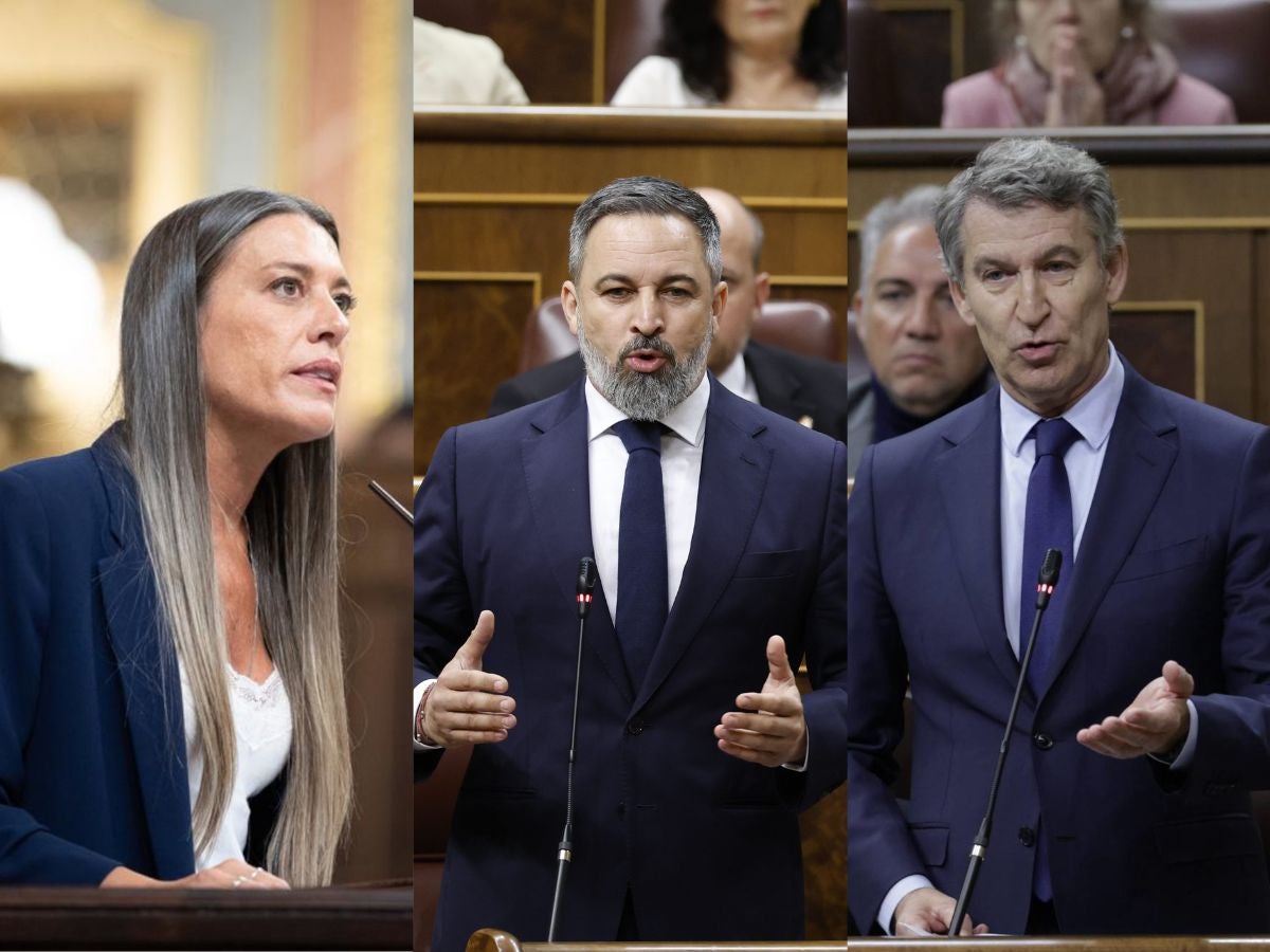 Míriam Nogueras, Santiago Abascal i Alberto Núñez Feijoo, al Congrés.