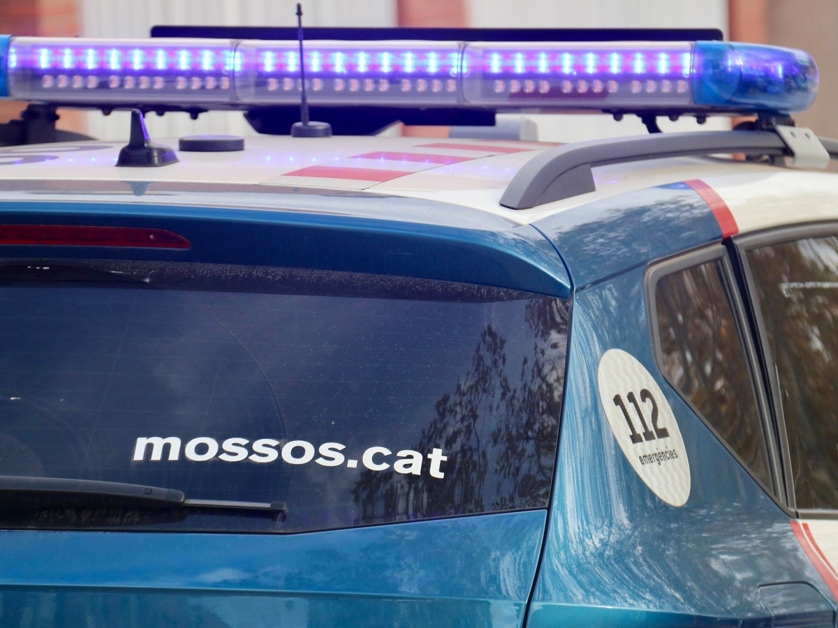 Mossos d'Esquadra, en una imatge d'arxiu. Autor: ACN.