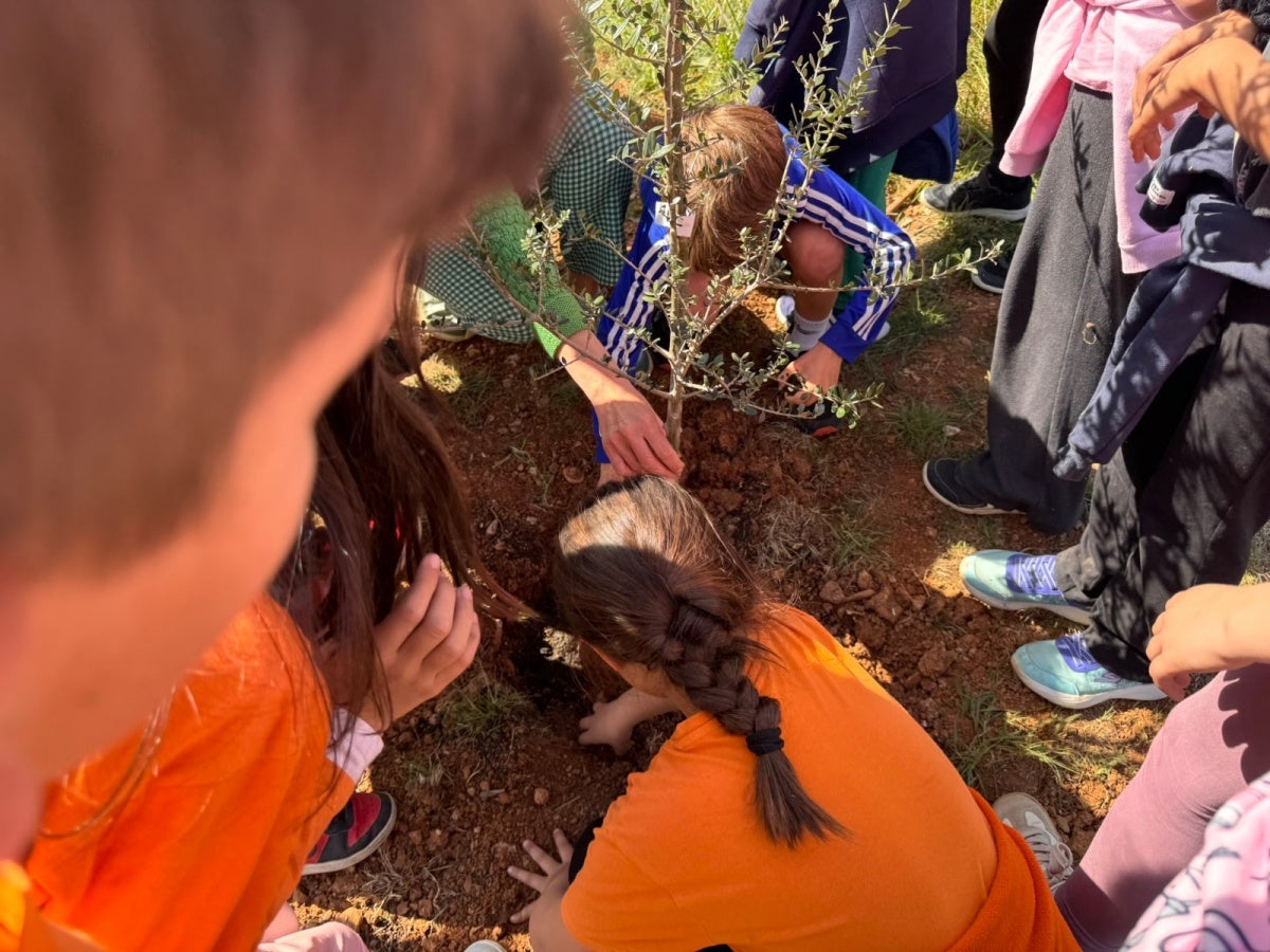 Alumnes de l'escola Can Llong al Parc de la Romeua, durant la plantada d'arbres. Autor: Ajuntament via X. 