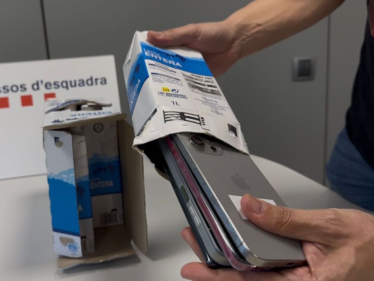 Telèfons robats amagats en brics de llet. Autor: Mossos cedida a l'ACN.