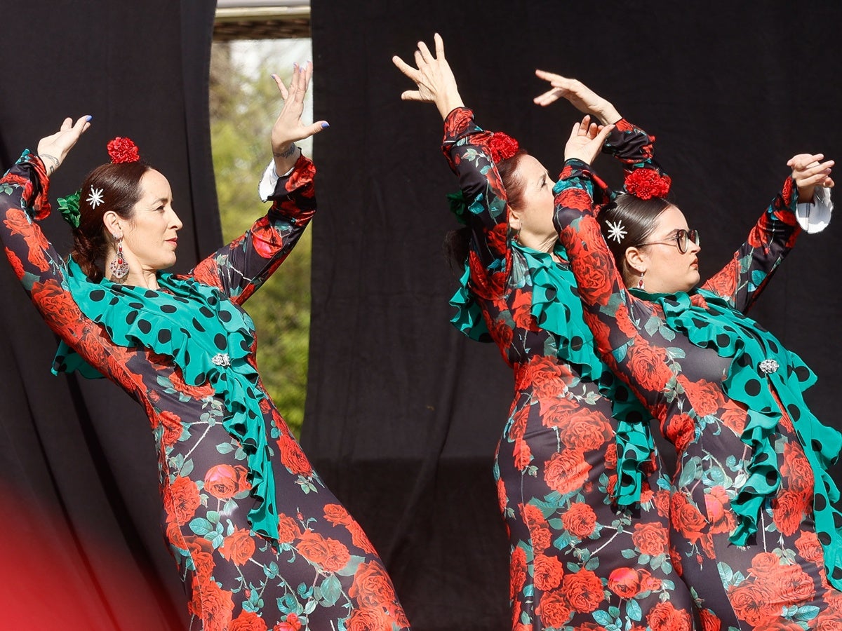 Un miler llarg de ballarins d'una vintena d'entitats i escoles de dansa de la ciutat han omplert de ritme aquest diumenge a la tarda la plaça de l'Argub, al parc de Catalunya. Ha estat l'acte central del Dia Internacional de la Dansa, la mostra col·lectiva Sabadell Dansa. Diferents estils i nivells de flamenc, hip hop, ballet, contemporani i altres disciplines però la mateixa estima per la dansa. Tot plegat, una gran mostra de la riquesa de grups i estils que hi ha a la ciutat.  Hi han participaran l’Agrupación Andaluza San Sebastián de los Ballesteros, el Club Rítmica Sabadell, Harmony Escola de Dansa, Step by Step, L’Estudi Dansa, Steps to Country, Kmystudio Escola de Dansa, Innedit Dance Complex, el Centro Cultural Andaluz Hermandad Virgen de Gracia Sabadell, l’Associació d’Activitats Veïns de la Concòrdia, l’Escola de Dansa Ritme, Artístik Centre Dansa i Teatre, les Escoles de Dansa Mònica Escribà, l’Escola de Ball Félix y Tere, El Gimnàs Dansa, La Nau, Petit Món conjunt amb Espai Yantra, l’Esbart Sabadell Dansaire, Driss Dansa, l’Escola de Dansa Stils i l’Escola de Dansa Bots.