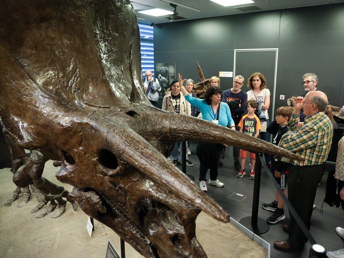 Visita guiada al Museu Paleontològic Miquel Crusafont, durant la Nit dels Museus 2025. Autor: D.Jiménez. 
