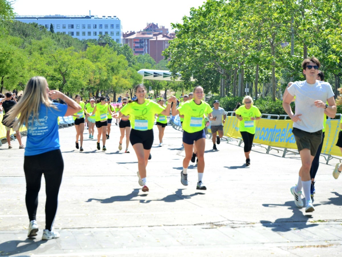 2.400 corredors han pres la sortida de la cursa solidària Corro contra el Càncer, que s'ha dut a terme aquest matí, amb moltes novetats. La primera: l'emplaçament des del parc de Catalunya, en col·laboració amb el festival Observa. La segona: la finalitat dels fons, que aniran destinats a un projecte de recerca sobre el càncer d'úter que es duu a terme des de l'hospital de Sabadell. La recaptació ha batut rècords, com també la fila 0, que segueix oberta durant uns dies més. 'Mai havíem fet un donatiu tan alt com farem ara; estic molt emocionat; és brutal', ha reconegut Aleix Ribell, de WeRun, organitzadors de la cursa. 'Hem fet una remodelació molt gran de la cursa i ha sortit molt bé; aquest canvi ha arribat per quedar-se perquè ha estat un luxe', ha reconegut.