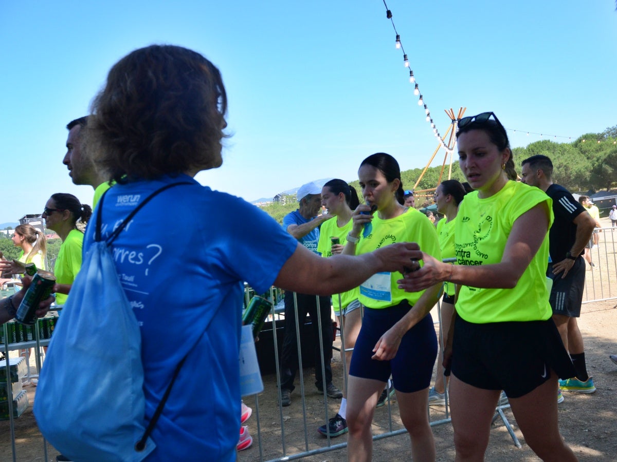 2.400 corredors han pres la sortida de la cursa solidària Corro contra el Càncer, que s'ha dut a terme aquest matí, amb moltes novetats. La primera: l'emplaçament des del parc de Catalunya, en col·laboració amb el festival Observa. La segona: la finalitat dels fons, que aniran destinats a un projecte de recerca sobre el càncer d'úter que es duu a terme des de l'hospital de Sabadell. La recaptació ha batut rècords, com també la fila 0, que segueix oberta durant uns dies més. 'Mai havíem fet un donatiu tan alt com farem ara; estic molt emocionat; és brutal', ha reconegut Aleix Ribell, de WeRun, organitzadors de la cursa. 'Hem fet una remodelació molt gran de la cursa i ha sortit molt bé; aquest canvi ha arribat per quedar-se perquè ha estat un luxe', ha reconegut.