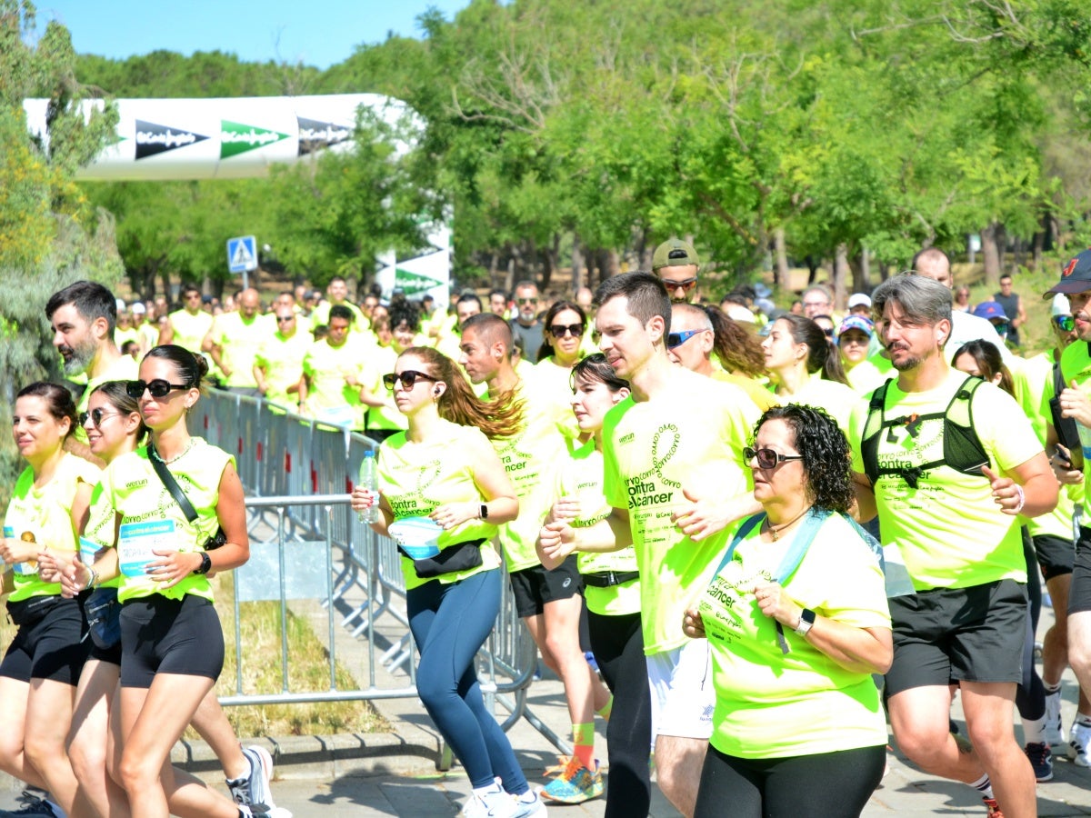 2.400 corredors han pres la sortida de la cursa solidària Corro contra el Càncer, que s'ha dut a terme aquest matí, amb moltes novetats. La primera: l'emplaçament des del parc de Catalunya, en col·laboració amb el festival Observa. La segona: la finalitat dels fons, que aniran destinats a un projecte de recerca sobre el càncer d'úter que es duu a terme des de l'hospital de Sabadell. La recaptació ha batut rècords, com també la fila 0, que segueix oberta durant uns dies més. 'Mai havíem fet un donatiu tan alt com farem ara; estic molt emocionat; és brutal', ha reconegut Aleix Ribell, de WeRun, organitzadors de la cursa. 'Hem fet una remodelació molt gran de la cursa i ha sortit molt bé; aquest canvi ha arribat per quedar-se perquè ha estat un luxe', ha reconegut.