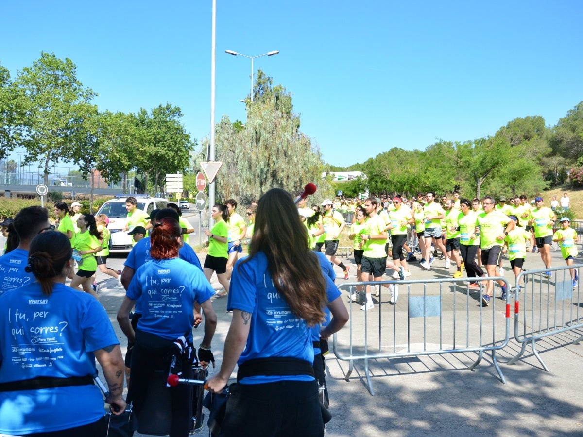 2.400 corredors han pres la sortida de la cursa solidària Corro contra el Càncer, que s'ha dut a terme aquest matí, amb moltes novetats. La primera: l'emplaçament des del parc de Catalunya, en col·laboració amb el festival Observa. La segona: la finalitat dels fons, que aniran destinats a un projecte de recerca sobre el càncer d'úter que es duu a terme des de l'hospital de Sabadell. La recaptació ha batut rècords, com també la fila 0, que segueix oberta durant uns dies més. 'Mai havíem fet un donatiu tan alt com farem ara; estic molt emocionat; és brutal', ha reconegut Aleix Ribell, de WeRun, organitzadors de la cursa. 'Hem fet una remodelació molt gran de la cursa i ha sortit molt bé; aquest canvi ha arribat per quedar-se perquè ha estat un luxe', ha reconegut.