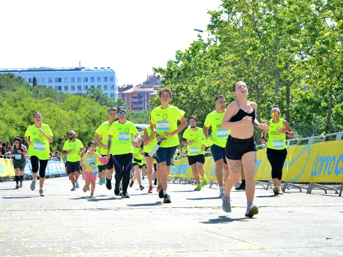 2.400 corredors han pres la sortida de la cursa solidària Corro contra el Càncer, que s'ha dut a terme aquest matí, amb moltes novetats. La primera: l'emplaçament des del parc de Catalunya, en col·laboració amb el festival Observa. La segona: la finalitat dels fons, que aniran destinats a un projecte de recerca sobre el càncer d'úter que es duu a terme des de l'hospital de Sabadell. La recaptació ha batut rècords, com també la fila 0, que segueix oberta durant uns dies més. 'Mai havíem fet un donatiu tan alt com farem ara; estic molt emocionat; és brutal', ha reconegut Aleix Ribell, de WeRun, organitzadors de la cursa. 'Hem fet una remodelació molt gran de la cursa i ha sortit molt bé; aquest canvi ha arribat per quedar-se perquè ha estat un luxe', ha reconegut.