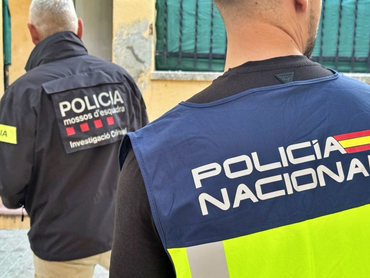 Agents de la Policia Nacional i dels Mossos d'Esquadra durant un escorcoll. Autor: Mossos via X. 