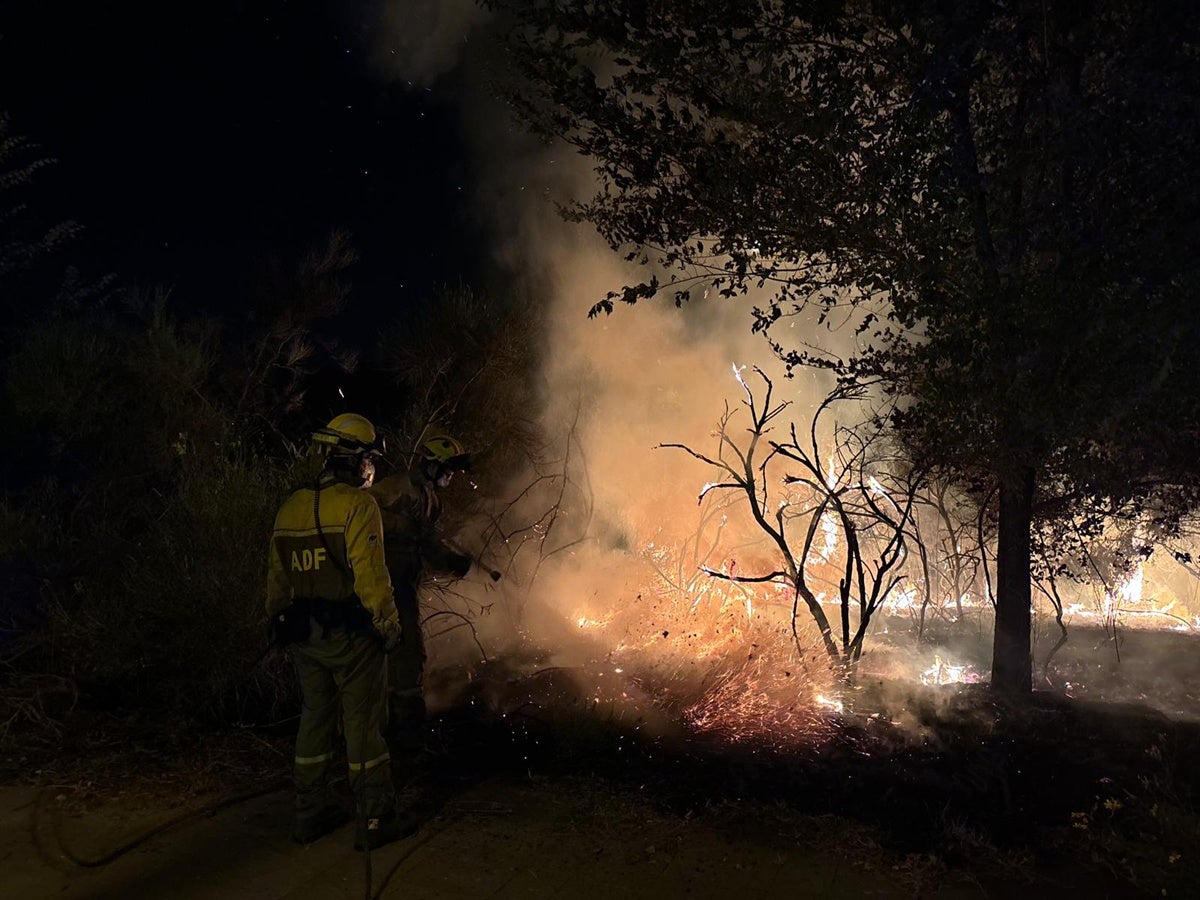 Un voluntari de l'ADF, apagant un foc de matallos aquesta revetlla de Sant Joan, a Can Gambús. Autor: J.d.A. 