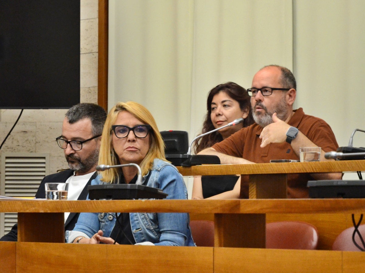 El portaveu de Sabadell En Comú Podem, Joan Mena, en el ple municipal de juny. Autor: J.d.A. 