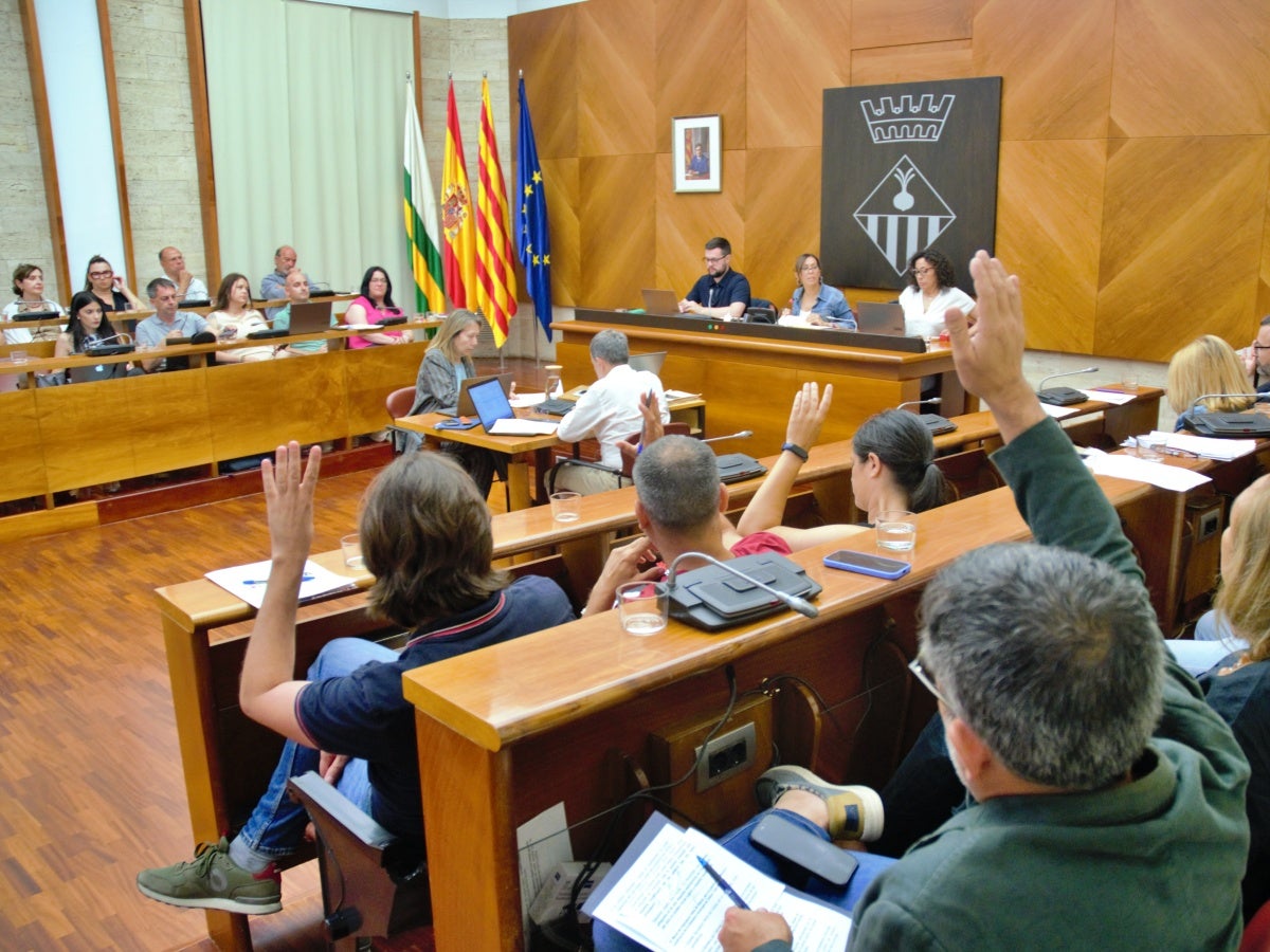 Votació durant el ple. Autor: J.d.A.