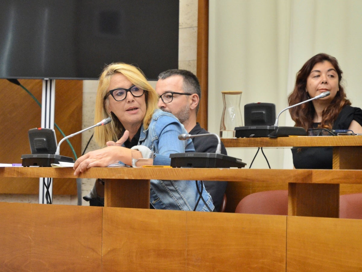 La portaveu d'ERC, Sílvia Renom, al ple. Autor: J.d.A.