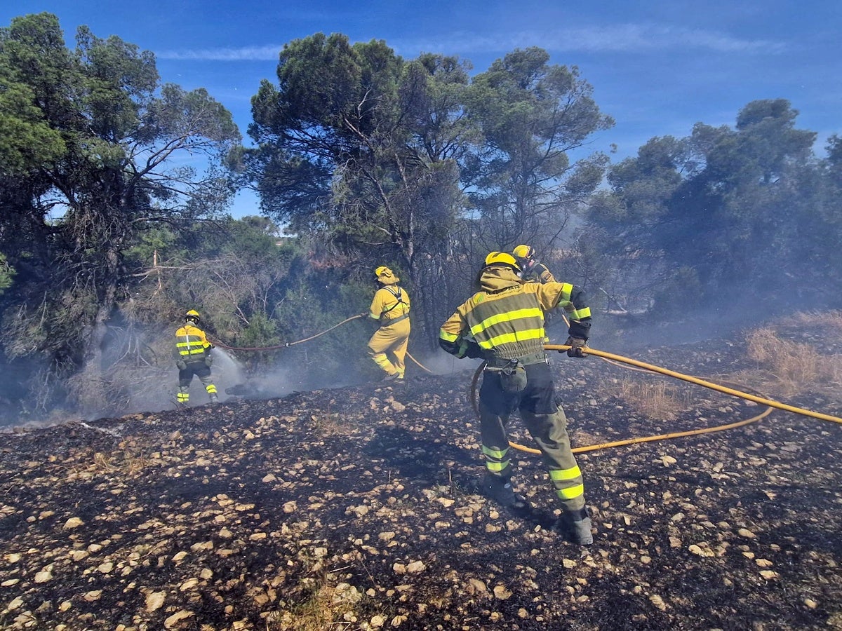 Efectius a l'incendi de Leciñena. Foto. @Infoar via X. 