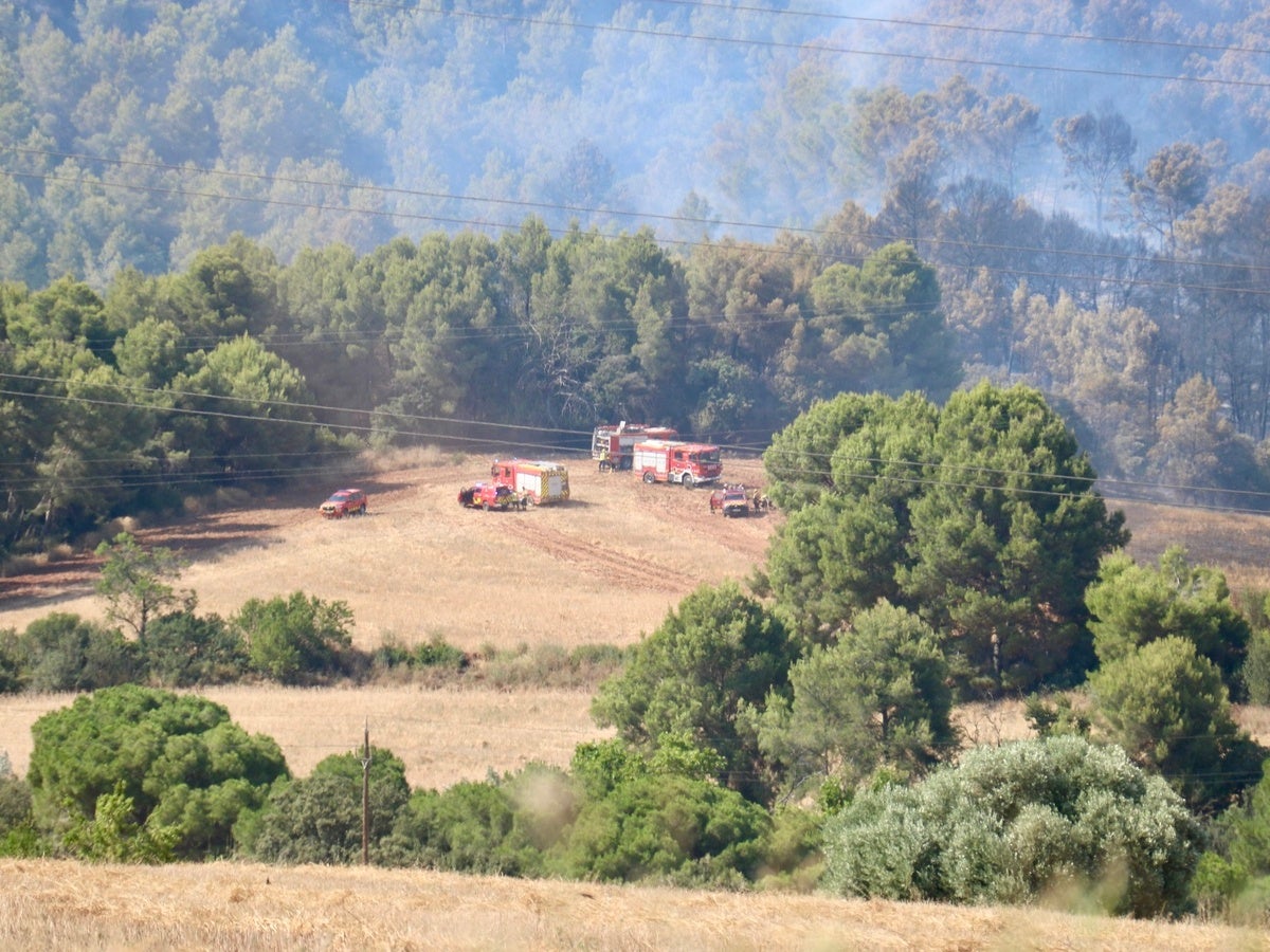 Fum a la zona de l'incendi de Sentmenat. Autor: ACN.