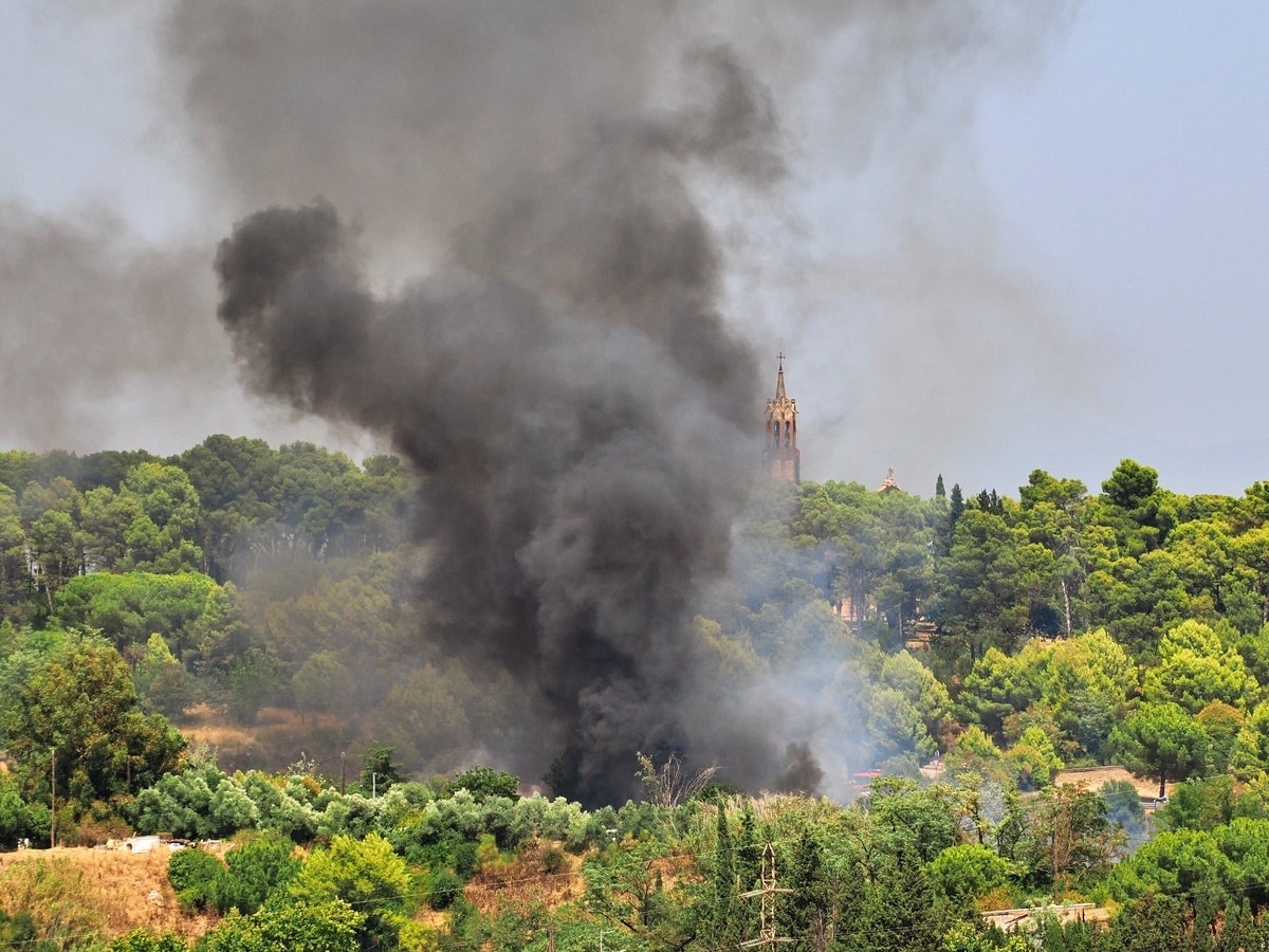 Una imatge de la columna de fum provocada per l'incendi. Autor: Rafel Uyà / cedida.