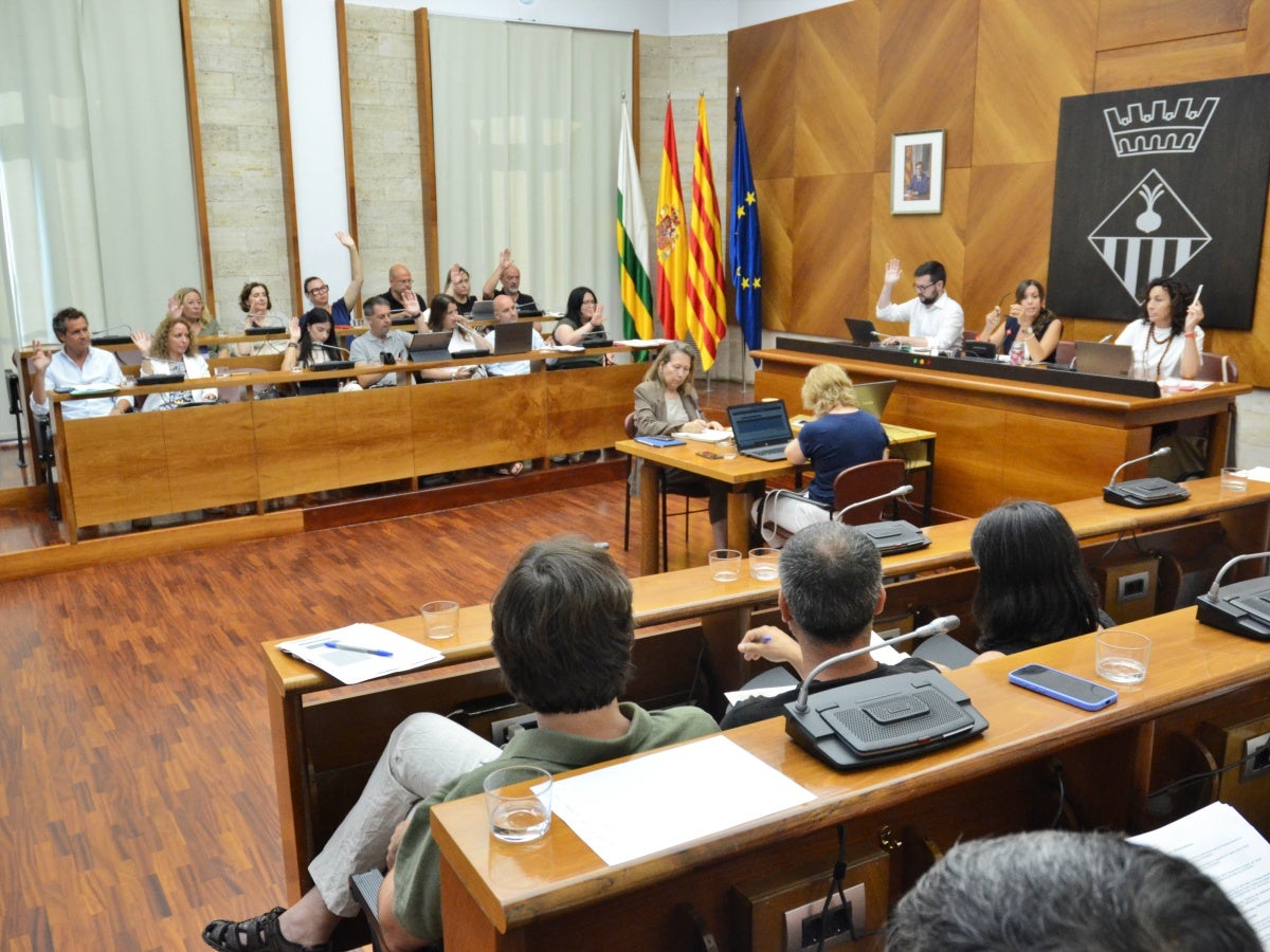 Votació durant el ple. Autor: J.d.A.
