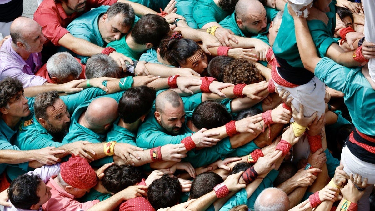 Castellers de Sabadell, a la jornada castellera del 2025. Autor: Ajuntament. 