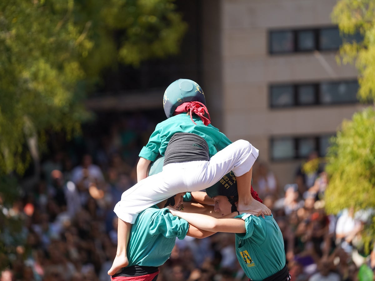 Saballuts alçant un castell. Autor: Luís PH.