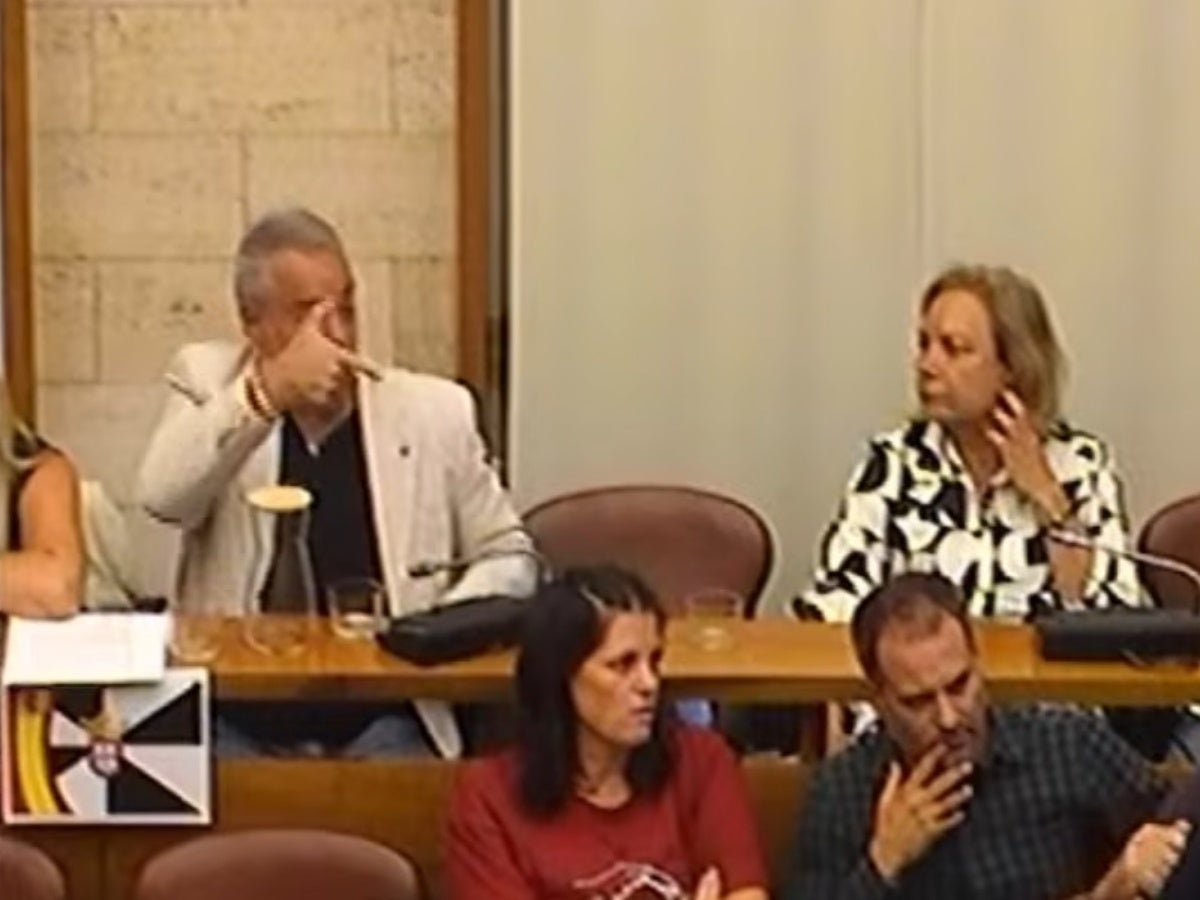 El polèmic gest de César Gil (Vox), al ple. Captura de la videoacta.
