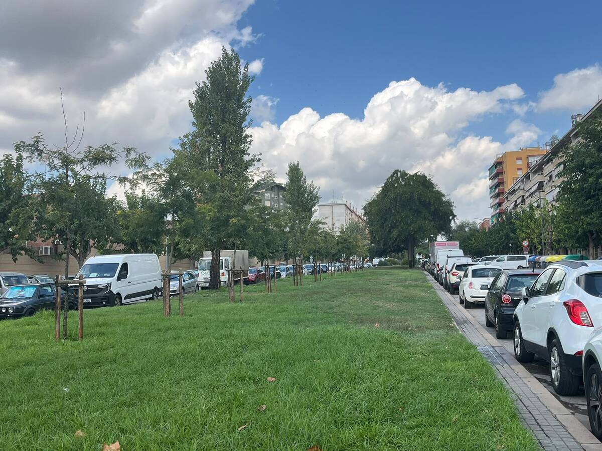 Mitjana de la Via Alexandra, on es plantaran nous arbres. Autor: Jordi M.